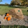 Onsite Carving - Image 4