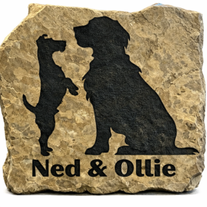 Small Pet Portrait Engraved Stone